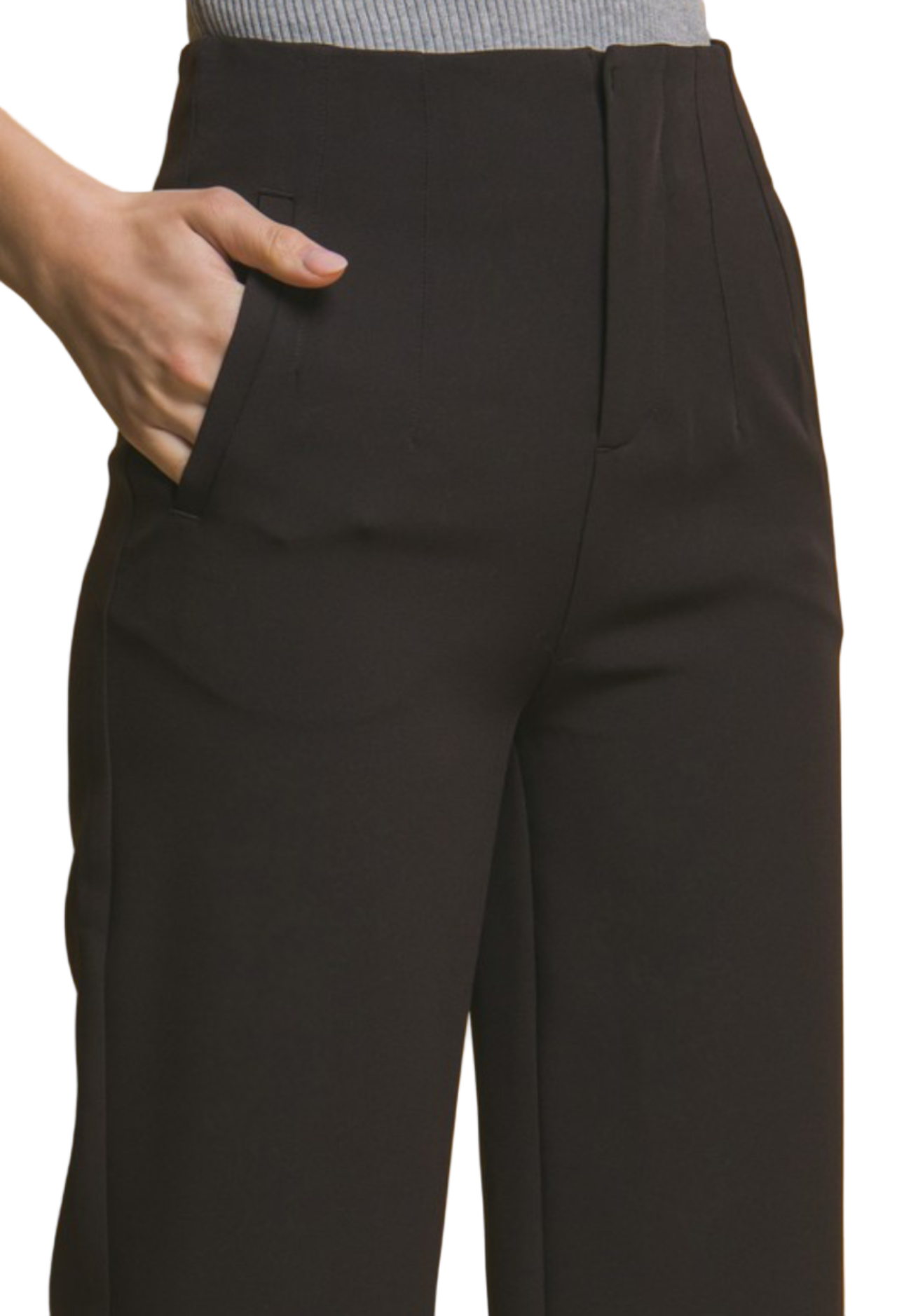 CLASSIC- FIT PLEATED PANTS