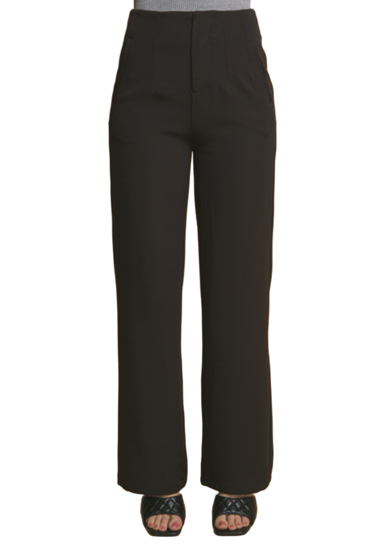 CLASSIC- FIT PLEATED PANTS