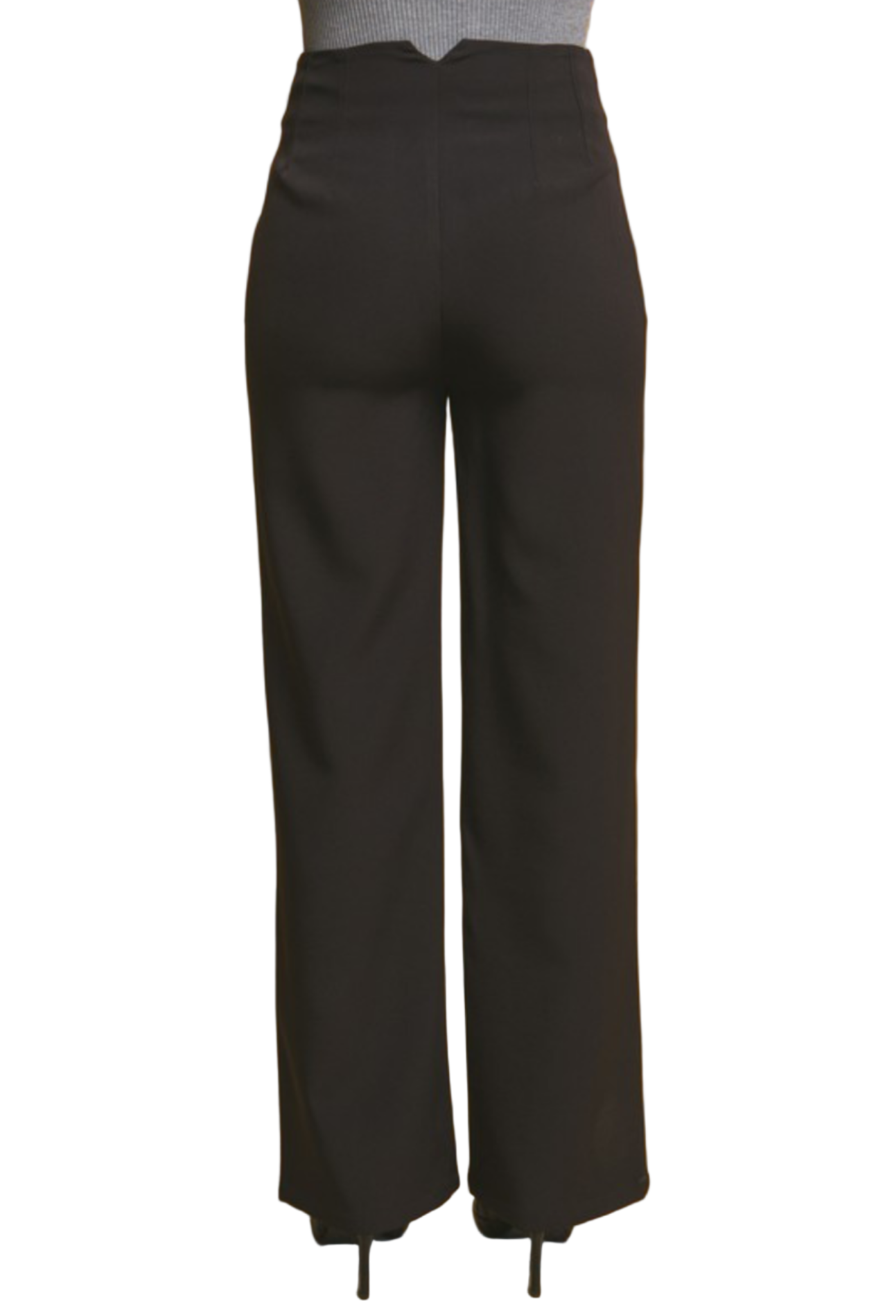 CLASSIC- FIT PLEATED PANTS