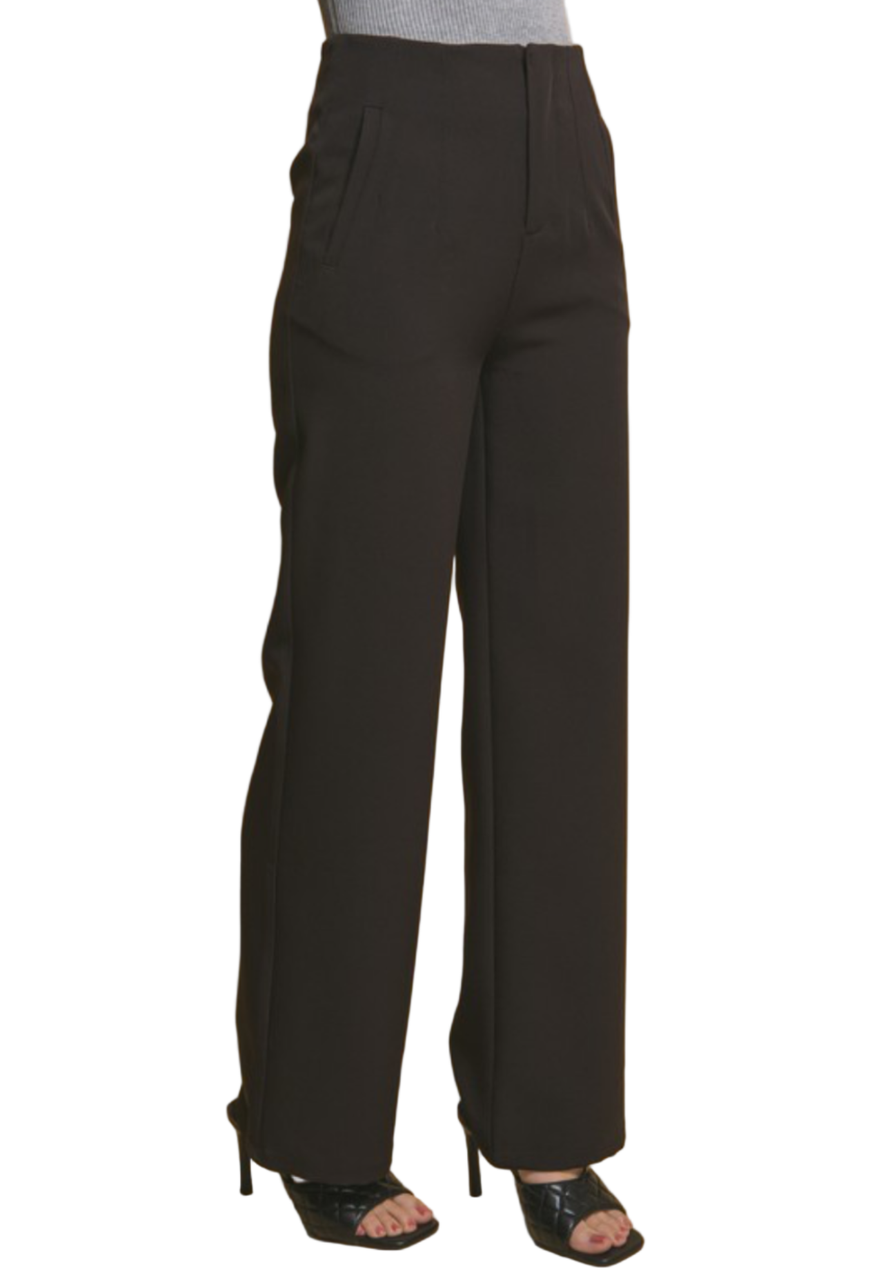 CLASSIC- FIT PLEATED PANTS